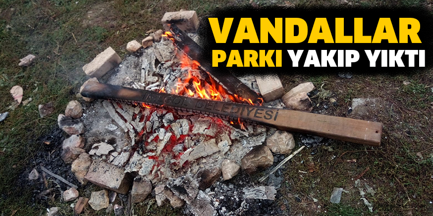 VANDALLAR PARKI YAKIP YIKTI