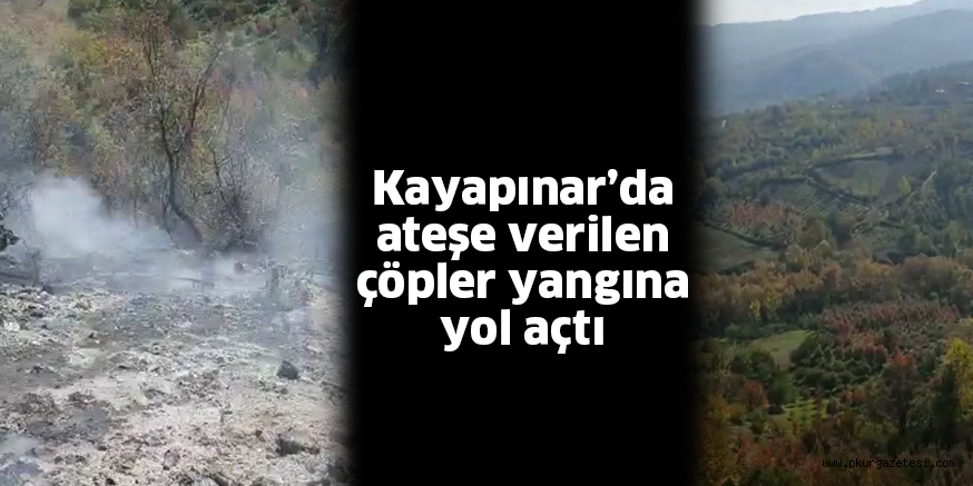 Yol kenarında ateşe verilen çöplerden çıkan alevler yeşil alana sıçradı