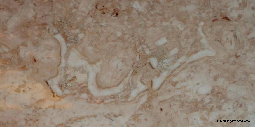 195 milyon yıllık “Bismillah” mucizesi