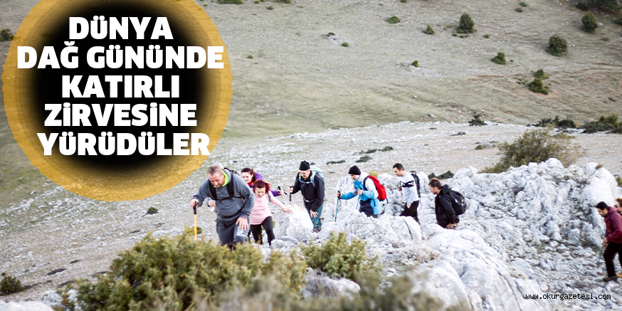 DüNYA DAĞ GüNüNDE KATIRLI ZiRVESiNE YüRüDüLER