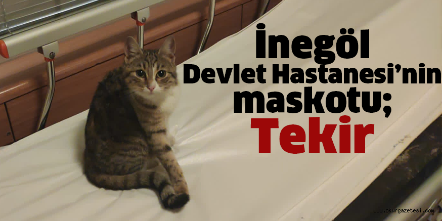 İnegöl Devlet Hastanesi’nin maskotu; Tekir