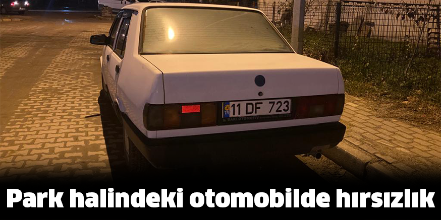 Park halindeki otomobilde hırsızlık