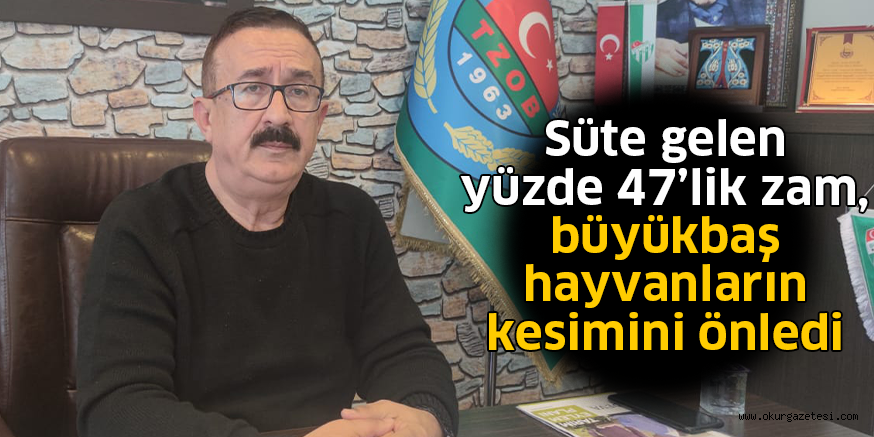 Süte gelen yüzde 47’lik zam, büyükbaş hayvanların kesimini önledi