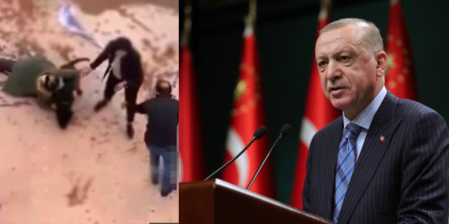 Türkiye’yi ayağa kaldıran görüntülere Cumhurbaşkanı Erdoğan da kayıtsız kalamadı: Sahipsiz hayvanların yeri barınaktır