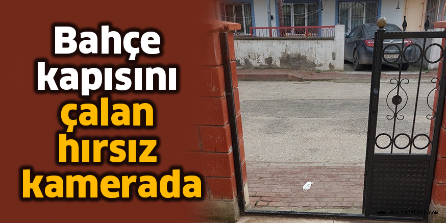 Bahçe kapısını çalan hırsız kamerada