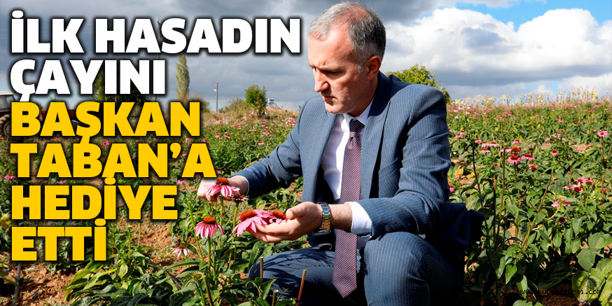 İLK HASADIN ÇAYINI BAŞKAN TABAN’A HEDİYE ETTİ