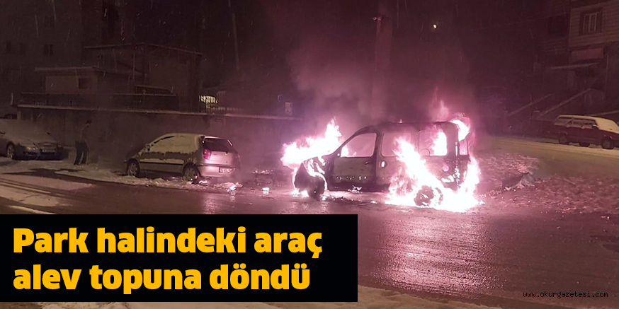 Park halindeki araç alev topuna döndü