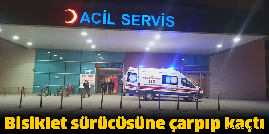 Bisiklet sürücüsüne çarpıp kaçtı