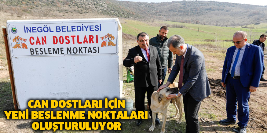 CAN DOSTLARI İÇİN YENİ BESLENME NOKTALARI OLUŞTURULUYOR