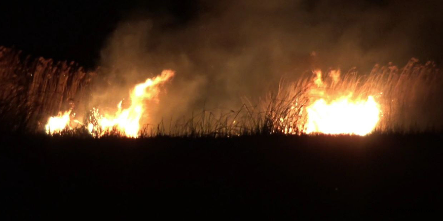 Sazlık alanda çıkan yangın söndürüldü