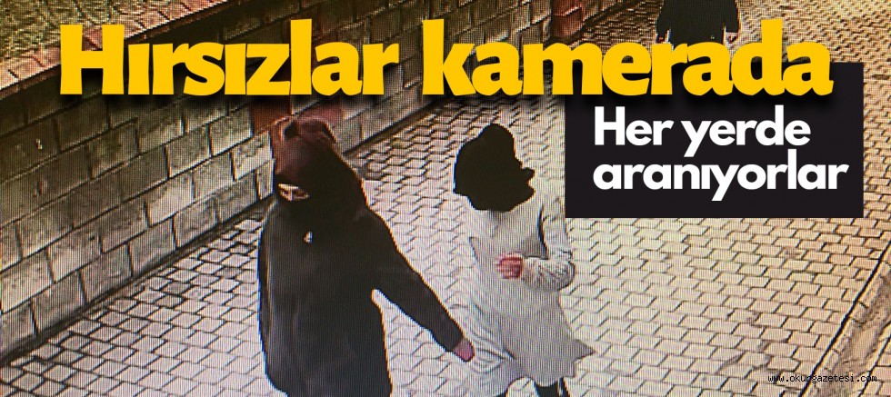2 Hırsız her yerde aranıyor