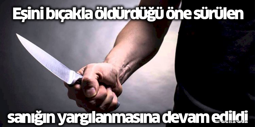 Eşini bıçakla öldürdüğü öne sürülen sanığın yargılanmasına devam edildi