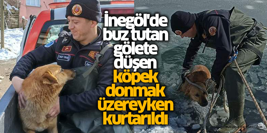 İnegöl’de buz tutan gölete düşen köpek donmak üzereyken kurtarıldı