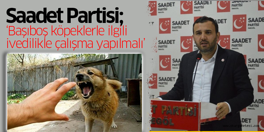 SP; ‘Başıboş köpeklerle ilgili ivedilikle çalışma yapılmalı’