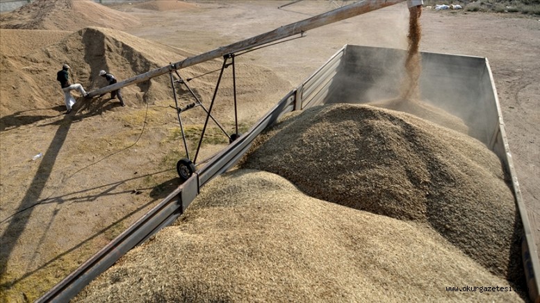 Sertifikalı tohumculuğa 2005’ten bu yana 3,4 milyar liralık destek sağlandı