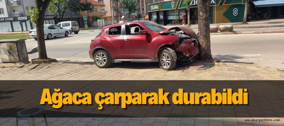 Ağaca çarparak durabildi