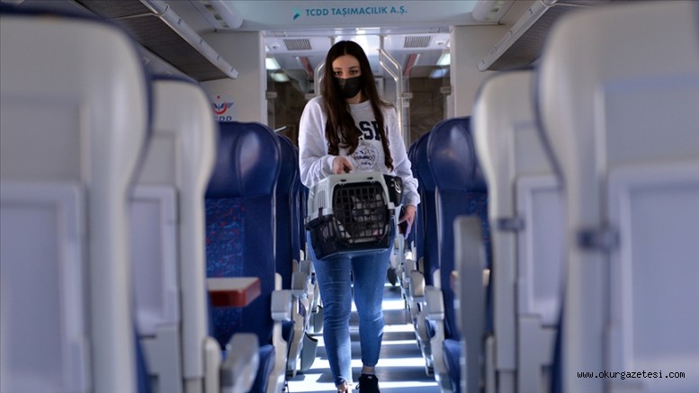 Hastaneler hariç maske zorunluluğu kalktı