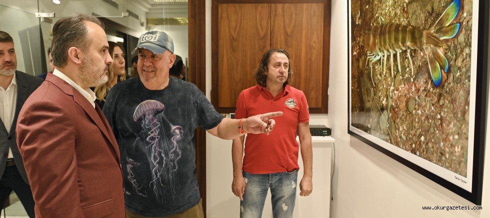 Marmara Denizi’nde hayat var