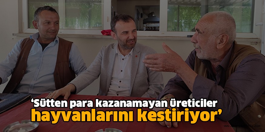 ‘Sütten para kazanamayan üreticiler hayvanlarını kestiriyor’