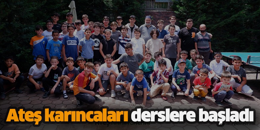 Ateş karıncaları derslere başladı