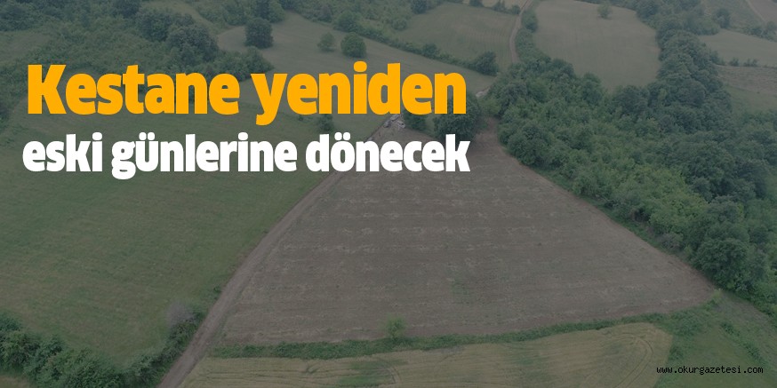 Kestane yeniden eski günlerine dönecek