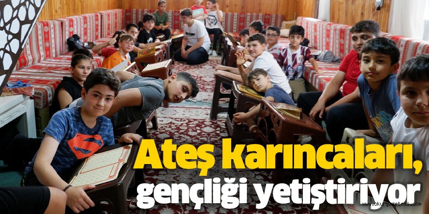 Ateş karıncaları, gençliği yetiştiriyor