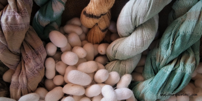 Bursa ipeği kültürel miras taşıyıcılarıyla yeniden hayat bulacak