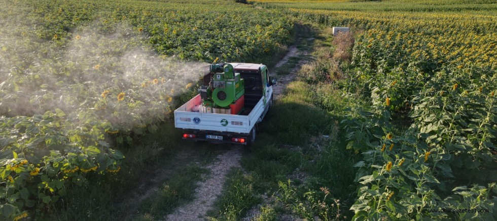 Büyükşehir’de ‘tırtıl’ seferberliği