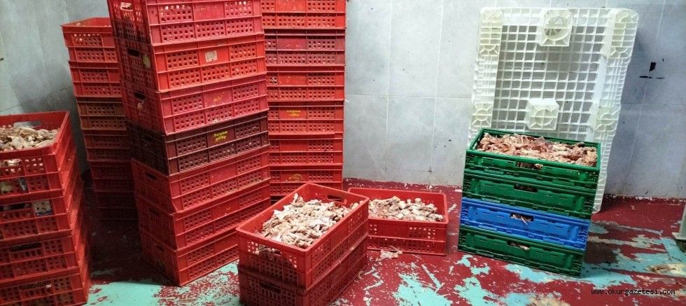 Çok miktarda tarihi geçmiş tavuk ele geçirildi