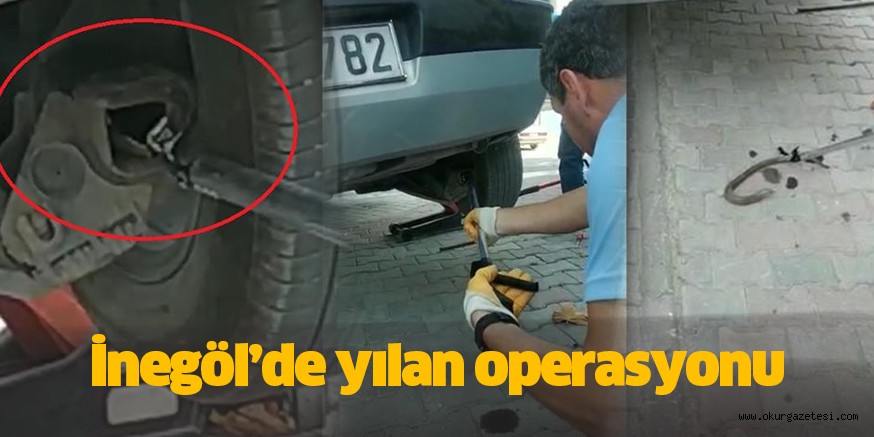 İnegöl’de ‘yılan’ operasyonu