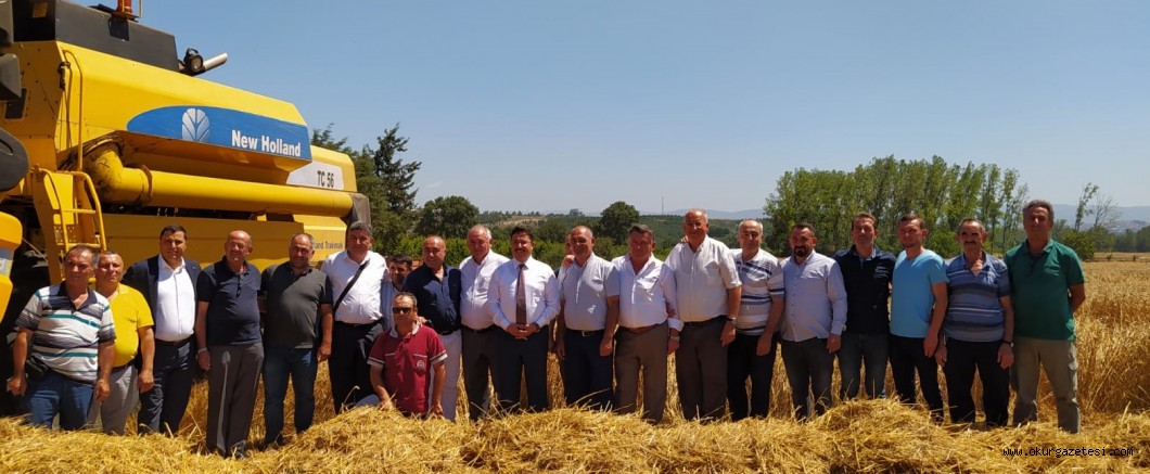 Mudanya’da buğday hasadı başladı