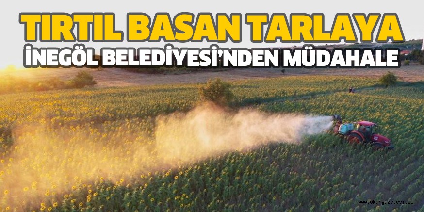 TIRTIL BASAN TARLAYA İNEGÖL BELEDİYESİ’NDEN MÜDAHALE