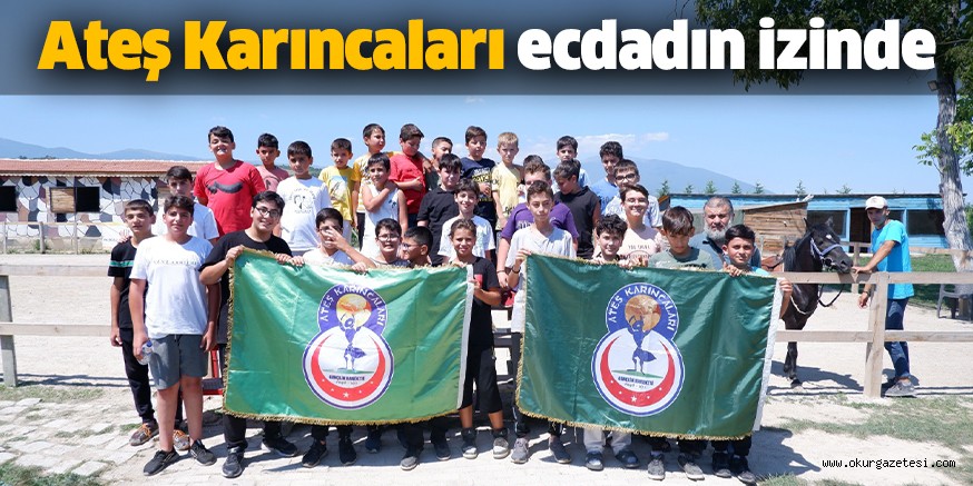 Ateş Karıncaları ecdadın izinde