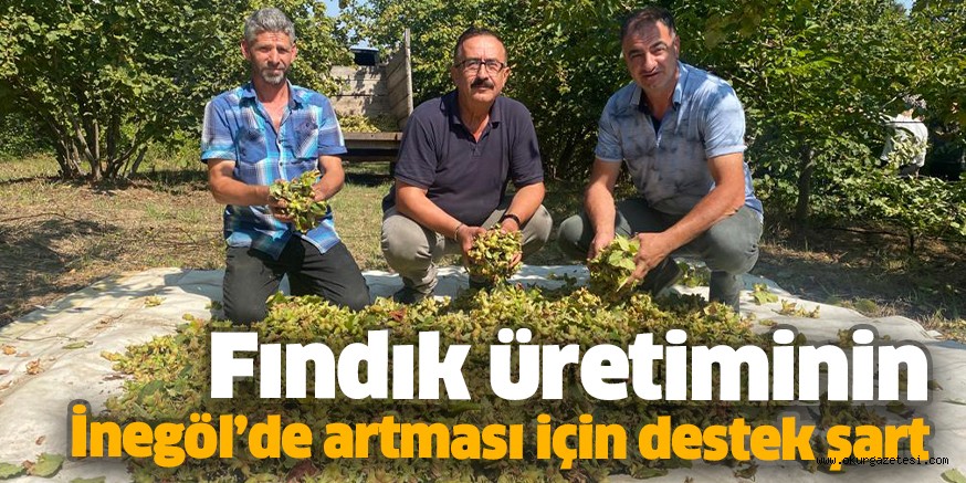 Fındık üretiminin İnegöl’de artması için destek şart