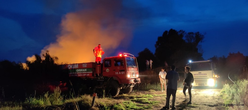 İznik Gölü kıyısındaki sazlık alanda çıkan yangın kontrol altına alındı