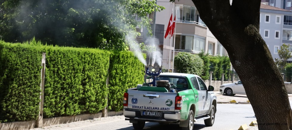 Sinekle kesintisiz mücadele