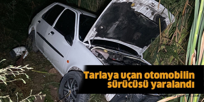 Tarlaya uçan otomobilin sürücüsü yaralandı