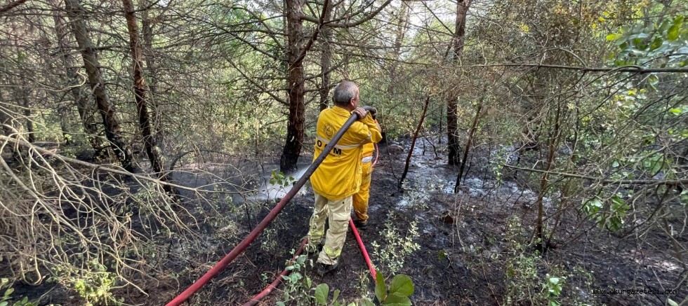 Uludağ’da çıkan orman yangını kontrol altına alındı