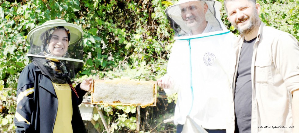 İnegöl’de bal hasadı başladı