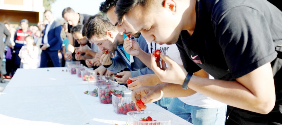 İnegöl’de ‘Kırmızı Elmas’ şenliği