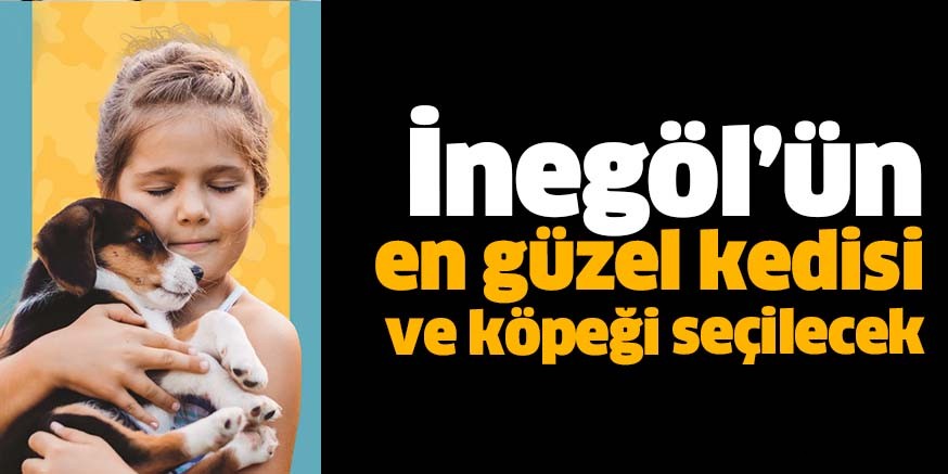 İnegöl’ün en güzel kedisi ve köpeği seçilecek