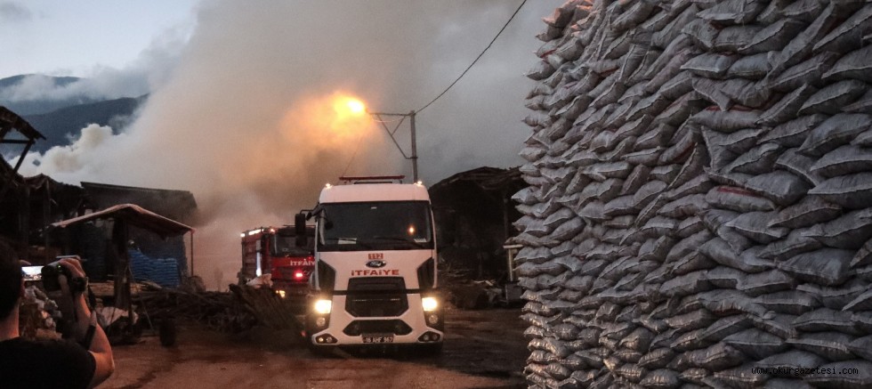 Odun ve kömür depolama tesisinde çıkan yangın söndürüldü