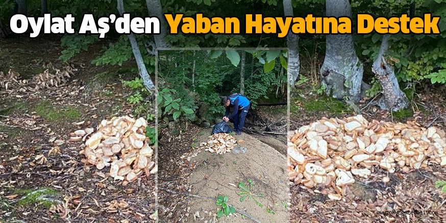 Oylat Aş’den Yaban Hayatına Destek