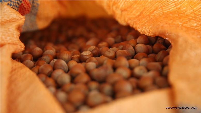 TMO’dan kabuklu fındık ve çekirdeksiz kuru üzüm üreticilerine çağrı