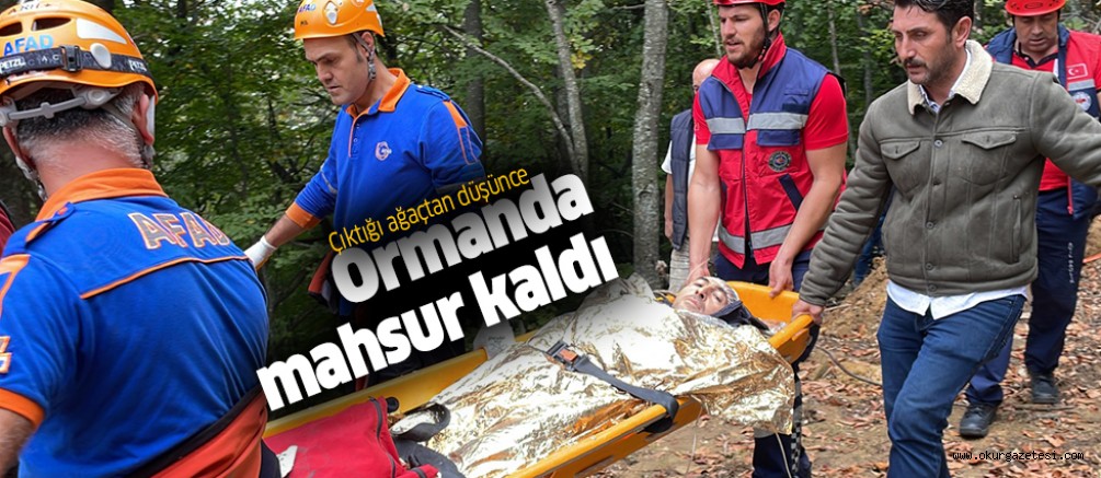 Ağaçtan düşünce ormanda mahsur kalan kişi kurtarıldı