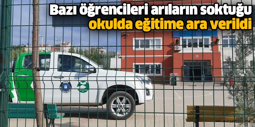 Bazı öğrencileri arıların soktuğu okulda eğitime ara verildi