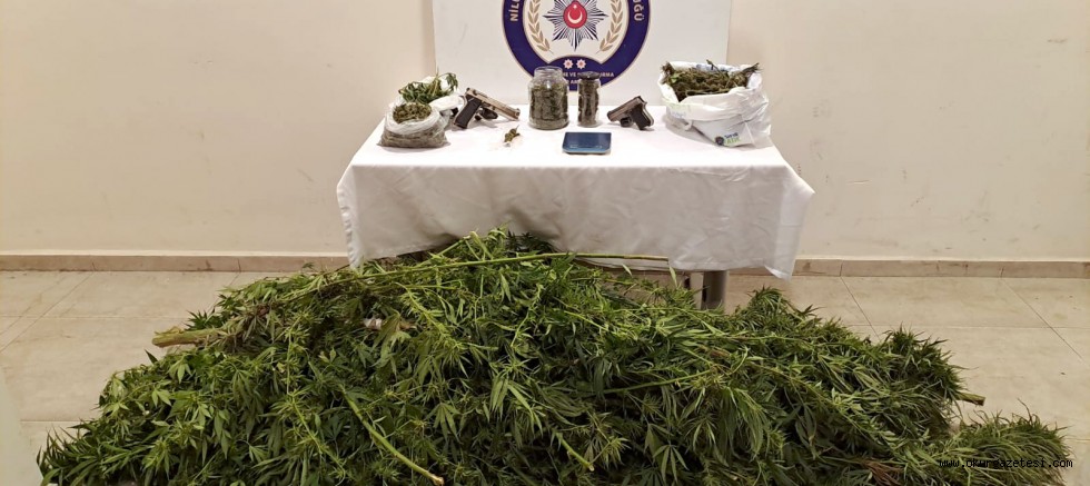 Evlerinin bahçesinde uyuşturucu yetiştiren iki şüpheli yakalandı