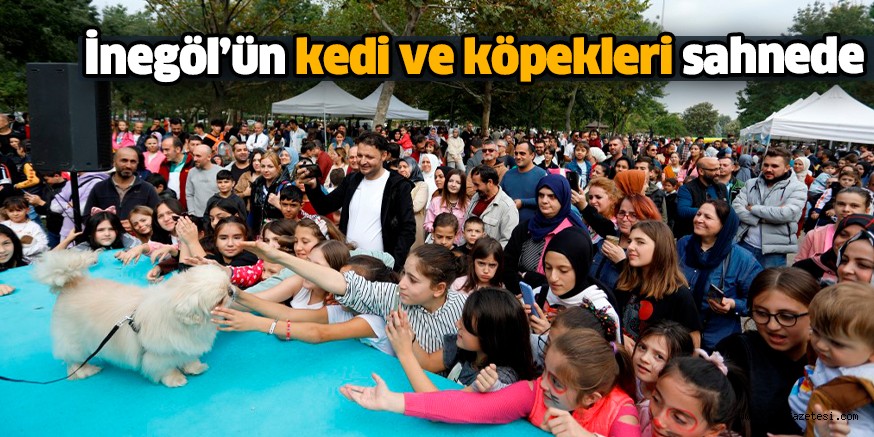 İnegöl’ün kedi ve köpekleri sahnede