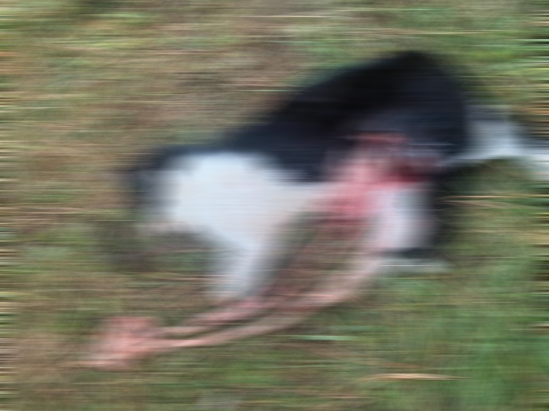 Başsavcılık’tan açıklama