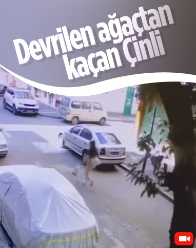 Çin'de ağacın altında kalmaktan koşarak kurtulan kadın